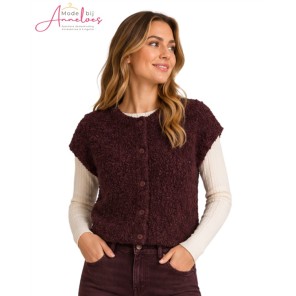 Red Button Vest Mouwloos Bouclé SRB5074 Espresso Red Button Vest Mouwloos Bouclé SRB5074 Espresso